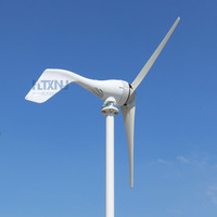 Small Wind Turbines Generator for Home  3/5 Blades 3000W 12V 24V 3 Phase AC Horizontal Windmill For Streetlight