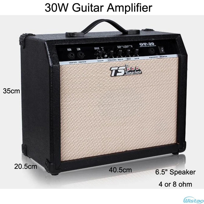 30W Digital Acoustic Guitar Amp Amplifier Speaker 6.5 inches with 3Bands Effects & 2 Simulation Effect Earphone Input Black