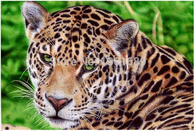 2015 Diamond Embroidery Animal DIY Diamond Painting Tiger Diamond Cross Stitch Crystal Square Diamond Home Decoration Needlework