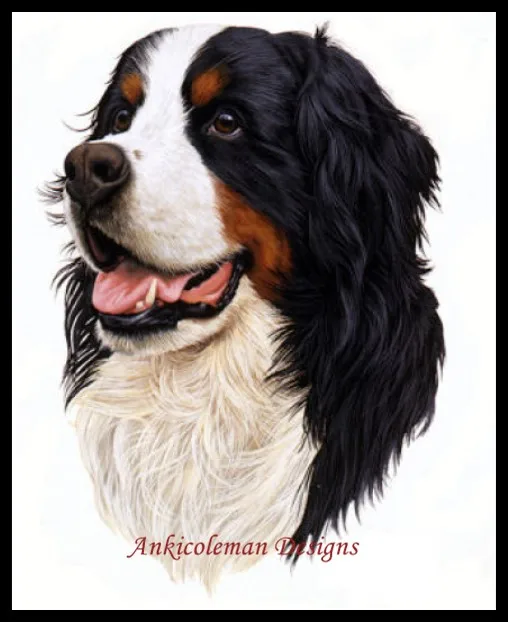 Needlework for embroidery DIY French DMC High Quality - Counted Cross Stitch Kits 14 ct Oil painting - Bernese Mt. Dog