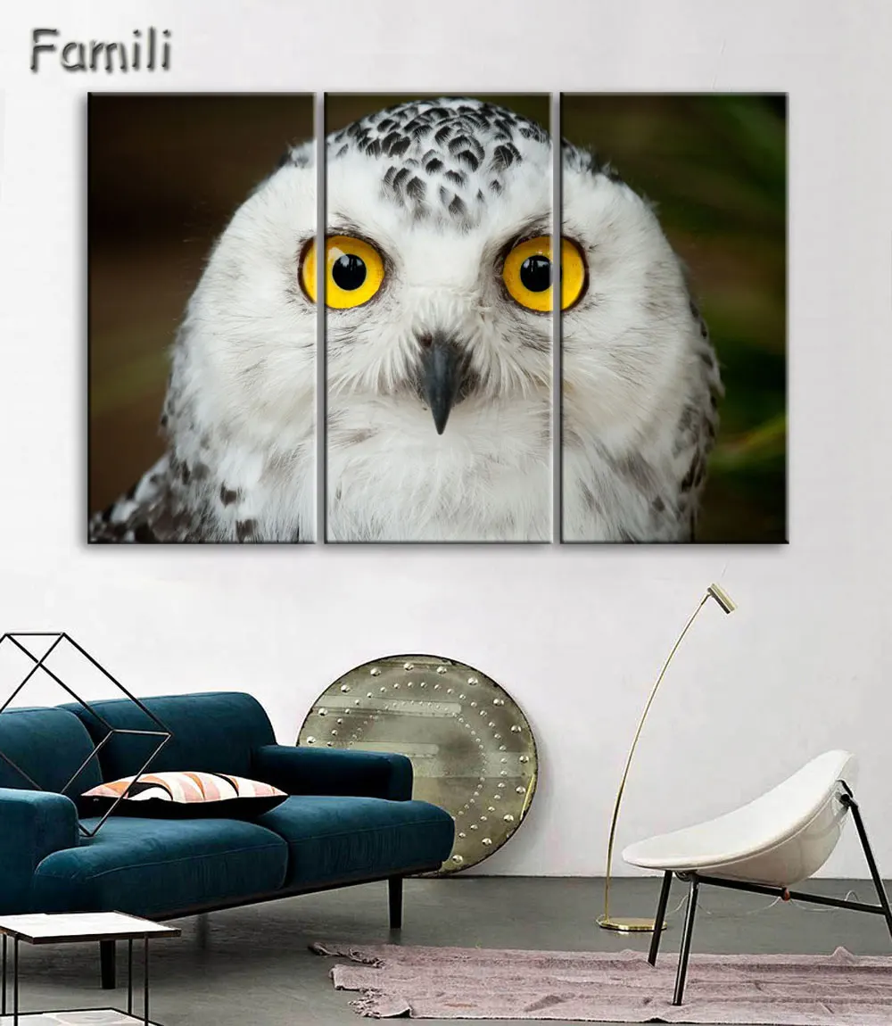 

Unframed HD Modern Flying Eagle Canvas Paintings Dropship Print Animals Artwork For Living Room Home Decoration Wall Hanging