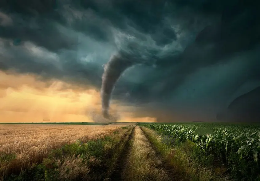 Tornado Straight Dirt Road Towards Ominous Storm Fields Wheat Corn Crops photo backdrop Computer print scenic background