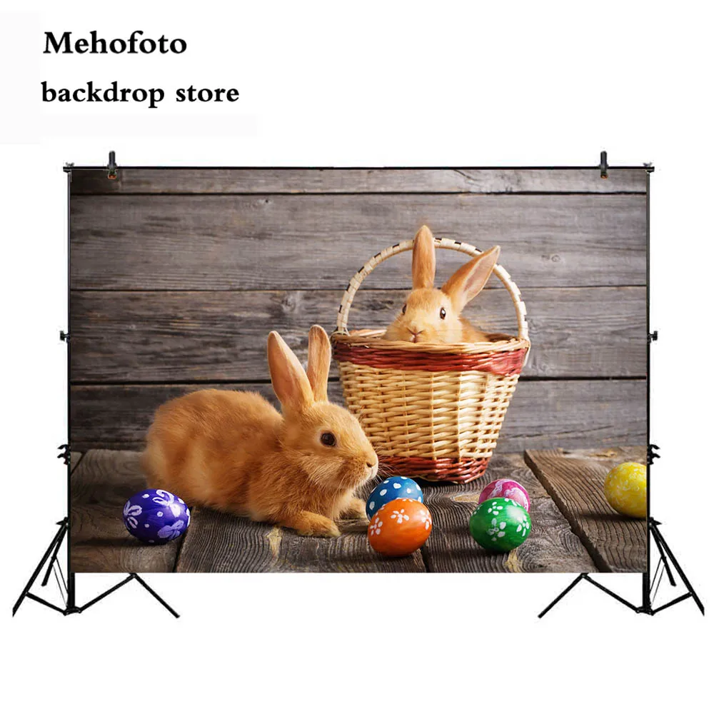 

Easter Egg Background Rabbit on Wood Floor Photography Backdrop Newborn Baby Portrait Photo Booth Background Studio 320