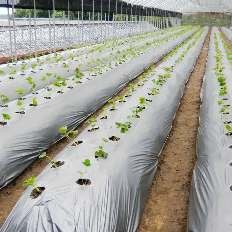 30m 0.02mm PE Mulch Silver Black Plastic Mulch Agriculture Ground Cover Film Frost Protection Keep Warm Greenhouse Weed Control