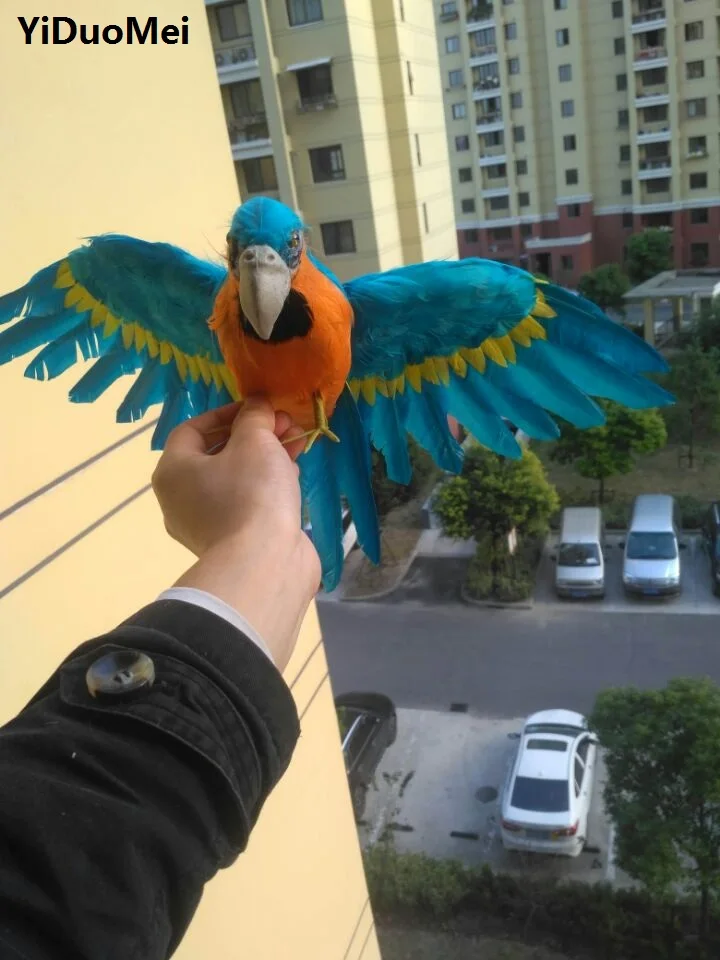 

artificial bird about 30x45cm beautiful blue feathers parrot bird spreading wings handicraft,prop,garden decoration gift p1545