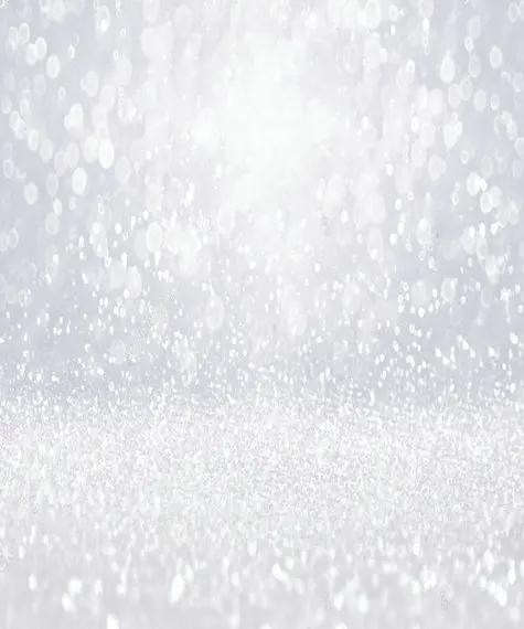 Winter Birthday Silver And White Glitter Sparkly Christmas Diamonds backgrounds  Computer print wedding photo backdrop