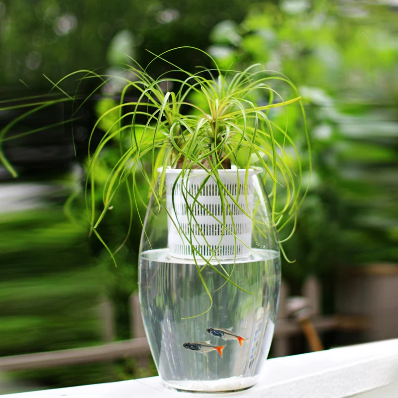Meshpot 3PCS Bunte Kunststoff Hydrokultur Korb Net Tasse Mesh Topf Home Dekoration Garten Liefert Blumentopf in 8cm/9cm/10cm