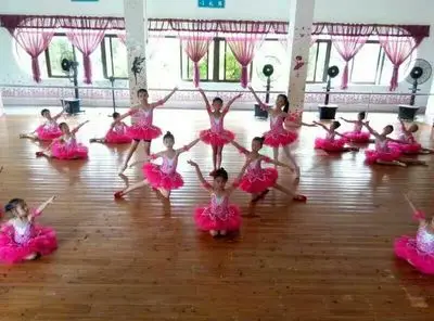 Tutu profissional de bailarina para vesta infantil, fantasia de cisne para vesta infantil, tutu e lantejoulas para dança