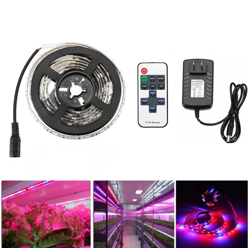 

5050 Led Strip For Plant Growth DC12V Led Grow Light Phyto lamp for Greenhouse Hydroponic Plant Seedlings Growing 3a Adapter