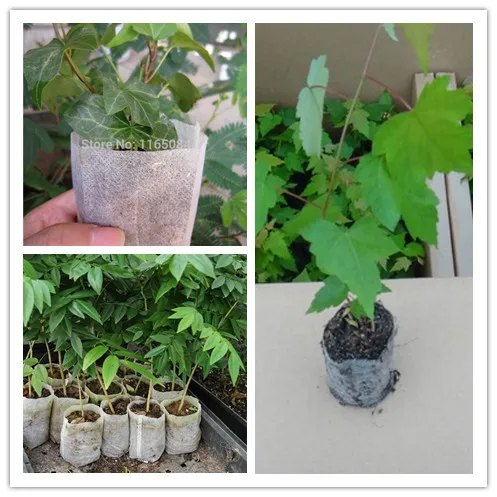 wholesale Nursery Pots Seedling-Raising Bags fabrics Garden Supplies Environmental Protection Full 10*12 Size 1000pieces