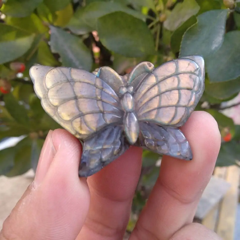 Labradorite Butterfly Figurine Carving Rock Stone Gemstone Animal Fetish