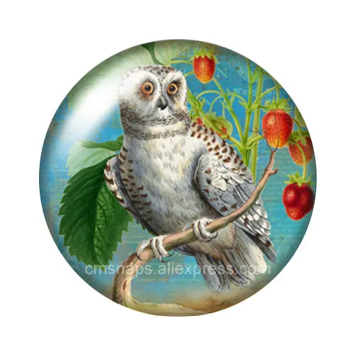 Cabochon en verre avec photo ronde, 10 pièces mélangées, hibou Hope oiseaux, nouveau Style Vintage, 12mm/16mm/18mm/25mm, démo de fabrication à dos plat