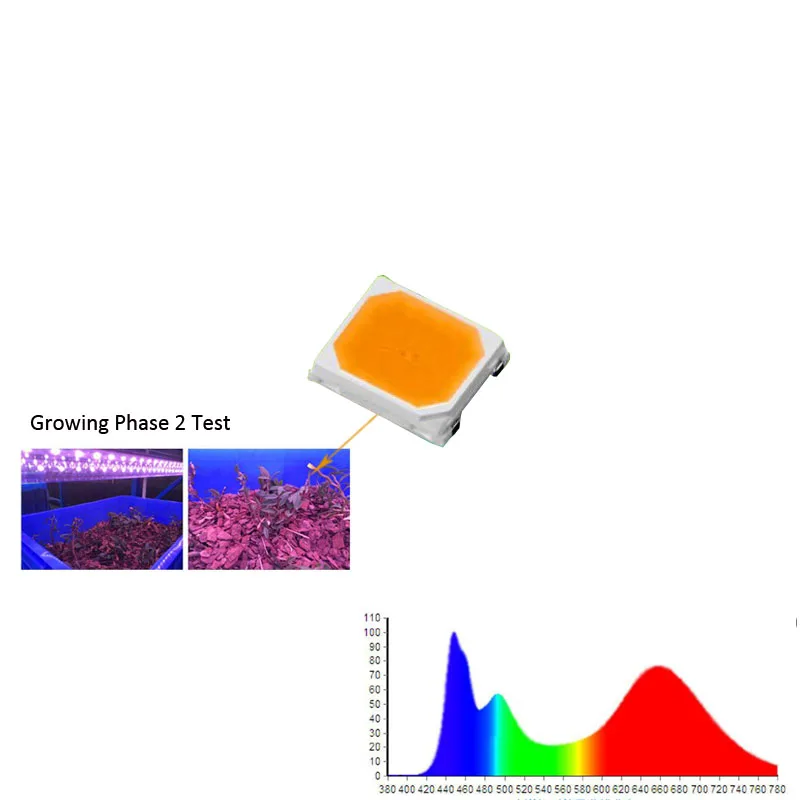 Full Spectrum SMD LED 2835 3V 120ma Grow LED Chip Special For Grow Light Seeding Phase Growing Phase Flower and Fruit Phase
