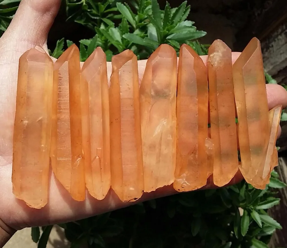 8pcs 218g Natural Lemurian Seed Quartz Crystal Point