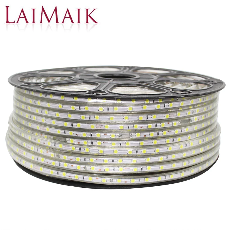 AC220V LED Strip Light Waterproof IP65 Led Tape 60leds/m SMD5050 Strip Light RGB Flexible 5m 10m String Lighting With Power Plug