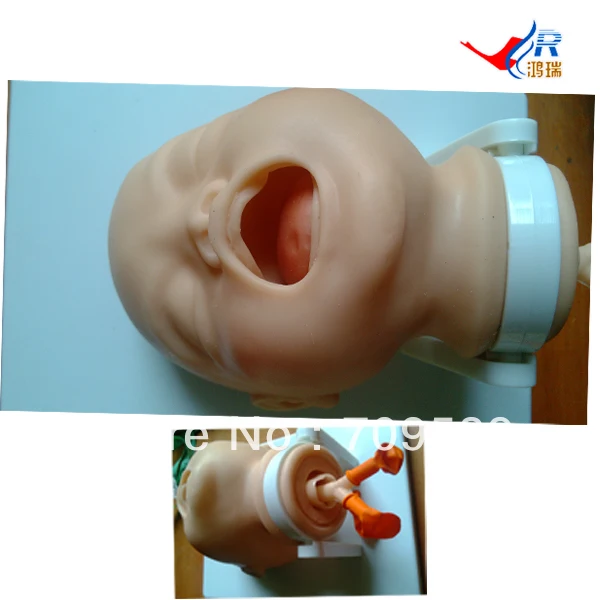 

Economic Newborn Baby Intubation Training Model, Intubation trainer