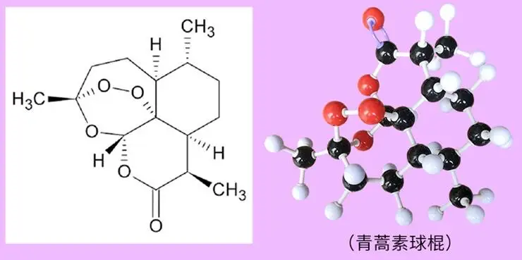 zx-1004A chemical organic and inorganic molecular structure model High school chemical experiment equipment