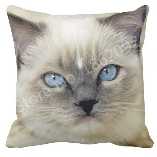 Cute Ragdoll Cat Face Cushion Cover Ragdoll Cat Throw Pillow Case Kitten Cats Sofa Car Seat Room Home Decor Pet Gifts Two Sides