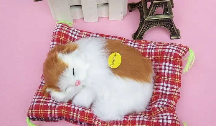 ΠΠΊΠΎΠ»ΠΎ 13x10 ΡΠΌ ΠΌΠΎΠ΄Π΅Π»Ρ ΡΠΏΡΡΠ΅Π³ΠΎ ΠΊΠΎΡΠ° Ρ ΠΊΠΎΠ²ΡΠΈΠΊΠΎΠΌ ΠΈΠ· ΠΏΠΎΠ»ΠΈΡΡΠΈΠ»Π΅Π½Π° ΠΈ ΠΌΠ΅Ρ
Π°, Π·Π²ΡΠΊΠΈ ΠΌΡΡ, ΠΆΠ΅Π»ΡΡΠΉ ΠΈ Π±Π΅Π»ΡΠΉ ΠΊΠΎΡ, ΡΠΊΡΠ°ΡΠ΅Π½ΠΈΠ΅ ΡΡΡΠ½ΠΎΠΉ ΡΠ°Π±ΠΎΡΡ, ΠΈΠ³ΡΡΡΠΊΠ° Π² ΠΏΠΎΠ΄Π°ΡΠΎΠΊ a2359 ΠΠΊΠΎΠ»ΠΎ 13x10 ΡΠΌ ΠΌΠΎΠ΄Π΅Π»Ρ ΡΠΏΡΡΠ΅Π³ΠΎ ΠΊΠΎΡΠ° Ρ ΠΊΠΎΠ²ΡΠΈΠΊΠΎΠΌ ΠΈΠ· ΠΏΠΎΠ»ΠΈΡΡΠΈΠ»Π΅Π½Π° ΠΈ ΠΌΠ΅Ρ
Π°, Π·Π²ΡΠΊΠΈ ΠΌΡΡ, ΠΆΠ΅Π»ΡΡΠΉ ΠΈ Π±Π΅Π»ΡΠΉ ΠΊΠΎΡ, ΡΠΊΡΠ°ΡΠ΅Π½ΠΈΠ΅ ΡΡΡΠ½ΠΎΠΉ ΡΠ°Π±ΠΎΡΡ, ΠΈΠ³ΡΡΡΠΊΠ° Π² ΠΏΠΎΠ΄Π°ΡΠΎΠΊ a2359