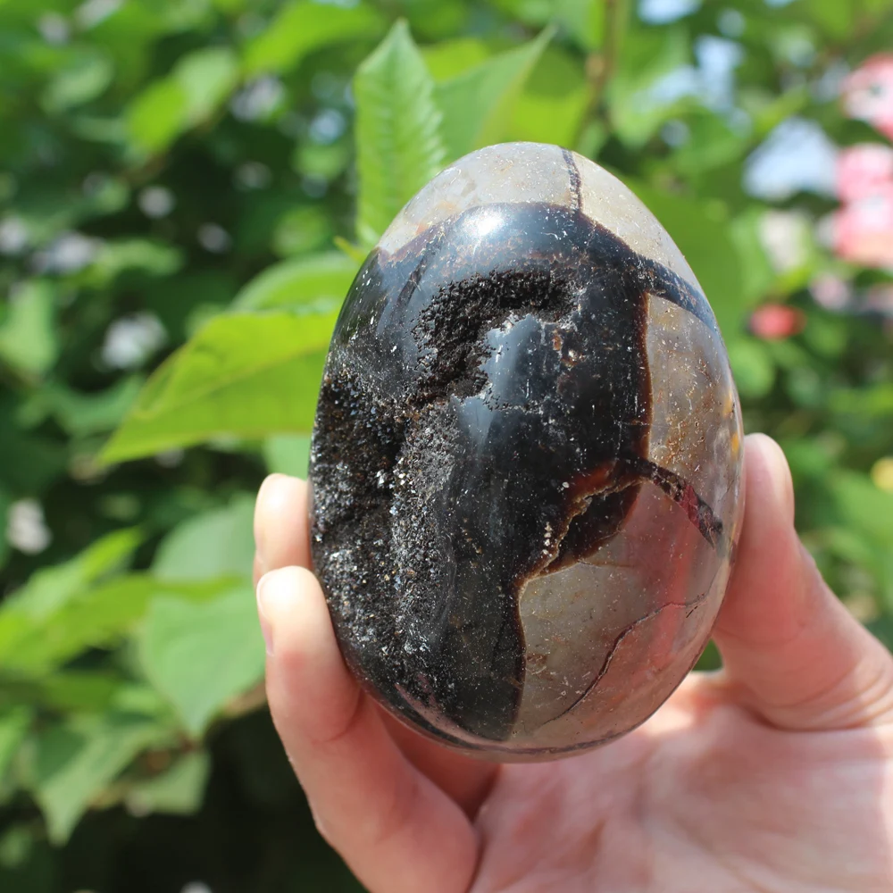 340g Natural curvature of the furnishing articles Turtle grain stone egg  Ball Septarian nodule  Crystal Healing quartz 06