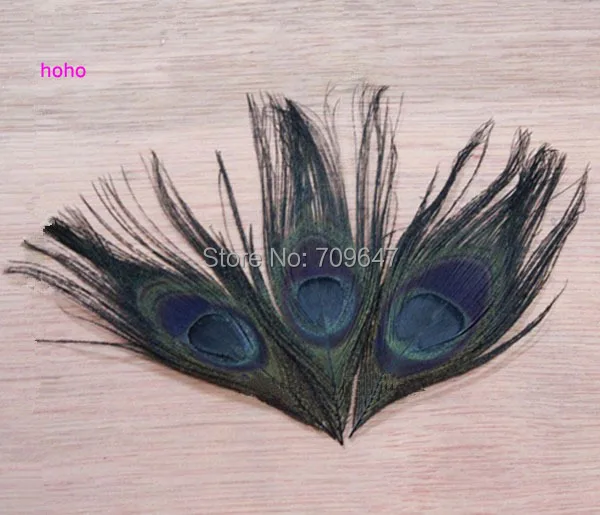 50Pcs/Lot!12-15cm Black Peacock Feathers-Peacock Feathers-