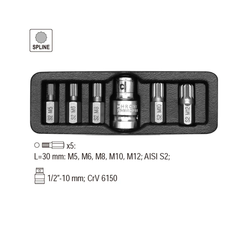 6 in 1 Torx Screwdriver Bits 12 Point Spline 10mm Hex Shank Impact Bit M5 M6 M8 M10 M12 with 1/2\