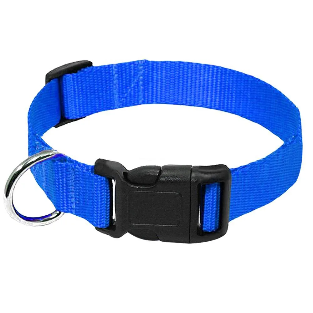 Classic Adjustable Nylon Dog Collar with Heavy Duty Clip Buckle Deluxe Webbing Collars for Small Medium Large Dogs