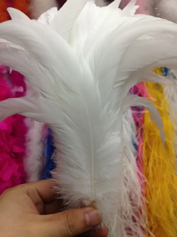 Wholesale perfect  200pcs  high quality natural White rooster tail 10-12inch/25-30cm  Decorative diy  wedding Accessories