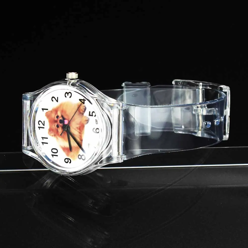 Pomeranian Pet Dog Puppy Animal Kids Children Baby Boy Girl Sport Transparent Band Gift Wrist Watch