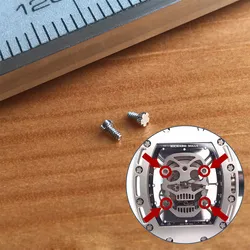 2piece/set steel screw for Richard Mile mens' RM 052 skull automatic copy watch movement