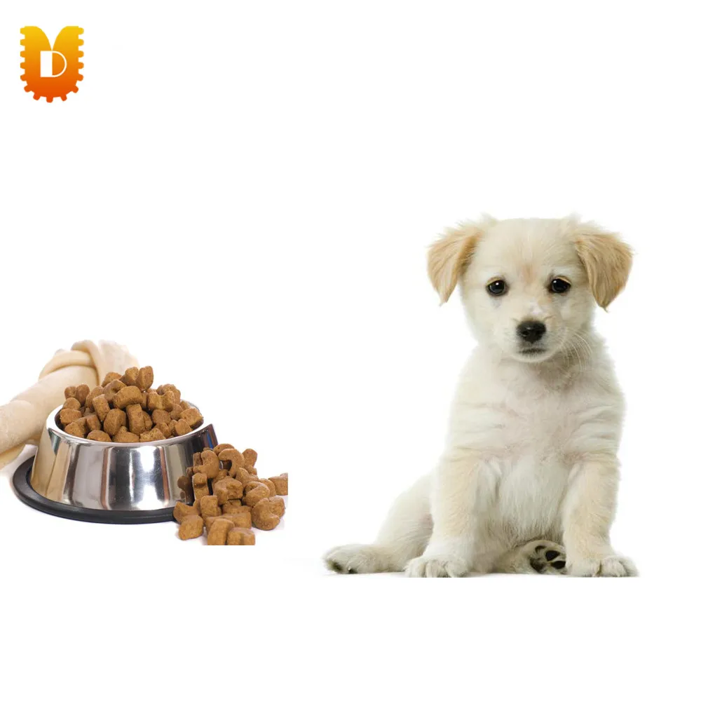 대용량 500-600 키로그램/시간 애완 동물 식품 펠렛 기계/애완 동물 식품 가공 기계