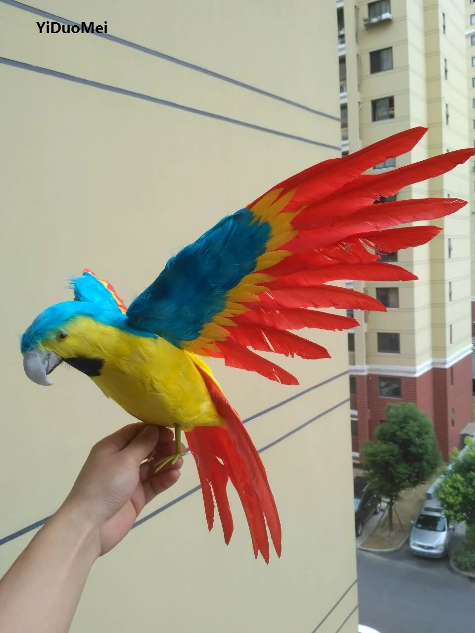 large 45x60cm blue&red feathers parrot bird spreading wings parrot handicraft,prop,home garden decoration gift p1922