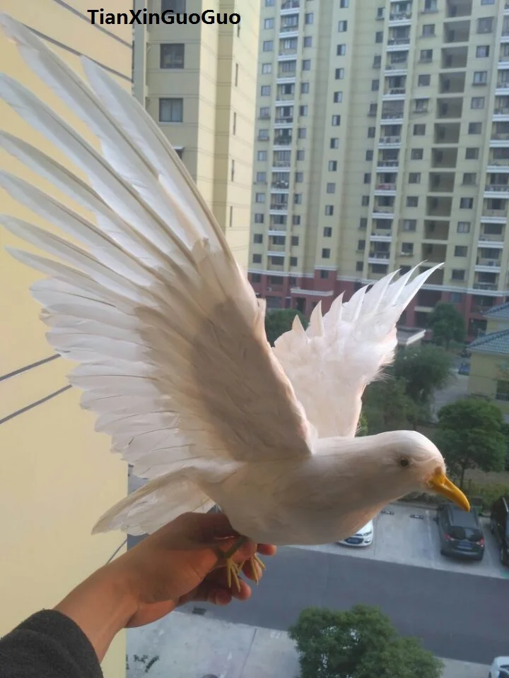 plastic foam& feathers white peace bird large 40x80cm spreading wings dove prop art model toy,home garden decoration gift w0220