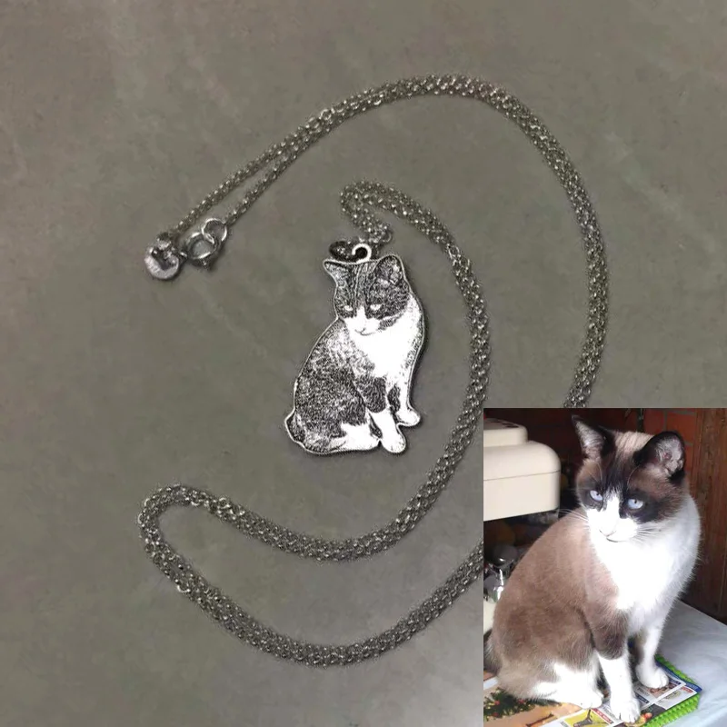 Amxiu Customized Pet Picture Necklace DIY 925 Sterling Silver Necklace Personalized Dog Cat Photo Necklaces Engrave Name Jewelry