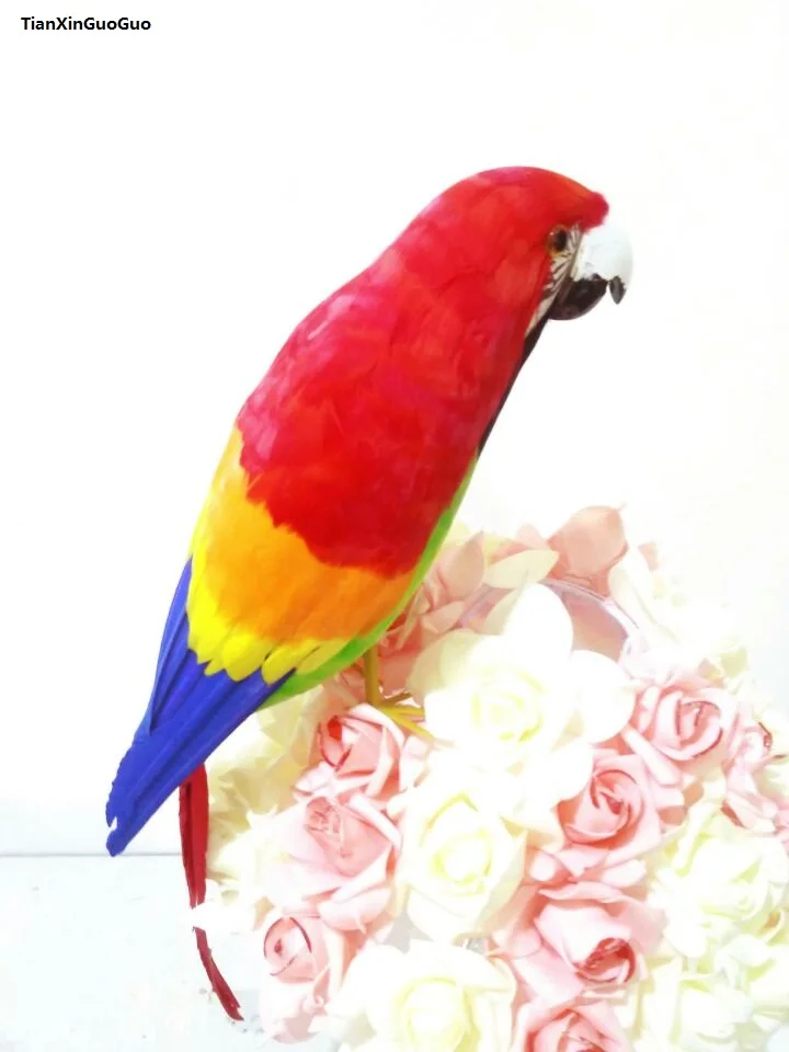 

simulation parrot large 42cm parrot craft colourful feathers bird hard model prop,home garden decoration gift s1397