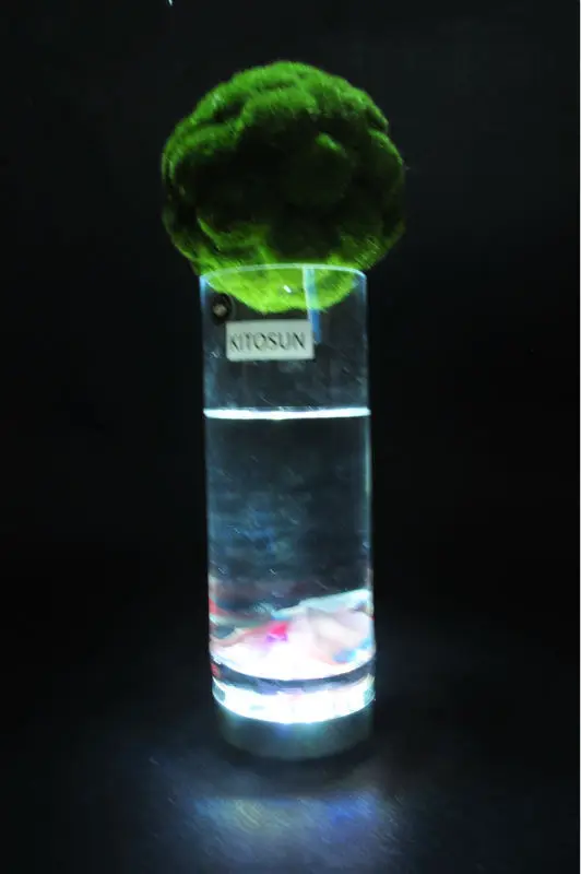 Kitosun 1pc Super Bright  white LED 4inch LED Light Base for Glass Cup Decoration Remote Controlled LED Lights for Wedding Party