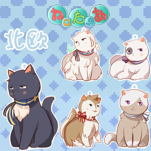 Animation  Axis Power Hetalia world Wrinkle Neko So Cute Key Holder Keychain Double Print Keyrings Portachiavi Pendant