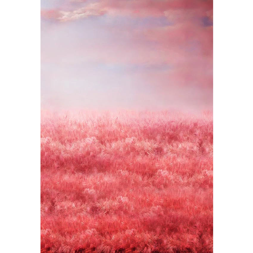 

Beautiful Pink Reed Backdrop for Wedding Photography Fancy Clouds Newborn Baby Shower Prop Vinyl Kids Photo Studio Backgrounds