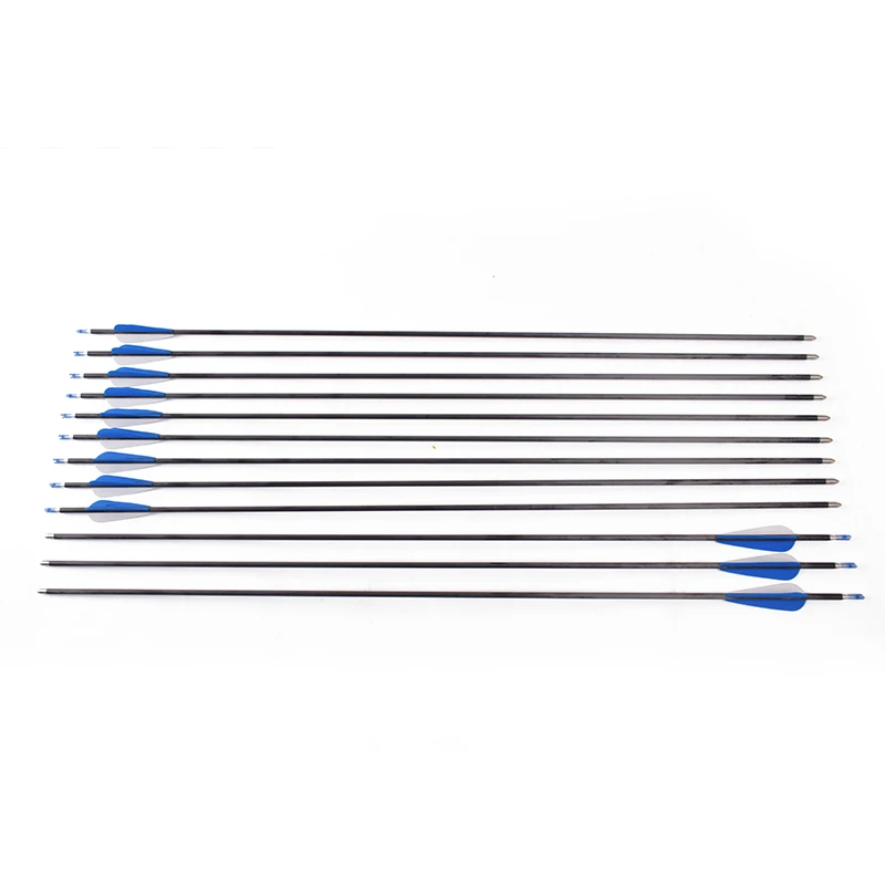 Hunting 12pcs Carbon Arrow 32 Inches Diameter 6 mm with 1 White and 2 Blue Plastic Feather for Archery Bow  Shooting