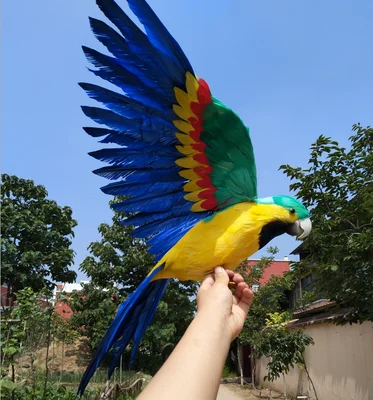 

beautiful feathers parrot spreading wings parrot large 45x60cm bird model handicraft,prop,home garden decoration gift p2880