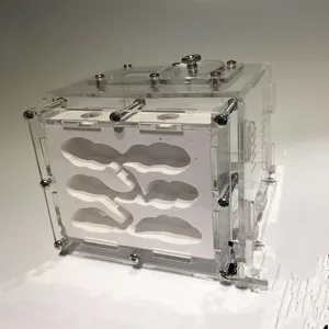 mini's nest'in en çok satan 7 ürünü, karınca, no. 4