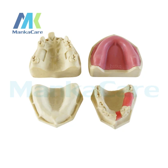 

Manka Care - Made from special foaming materials and additives to simulate real mandible Oral Model Teeth Tooth Model