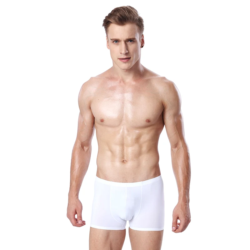 Men Boxer Shorts 5Color underpants ice silk sexy Calzoncillos Hombre Slips Ropa Interior Home Underwear man L XL XXL XXXL Boxers