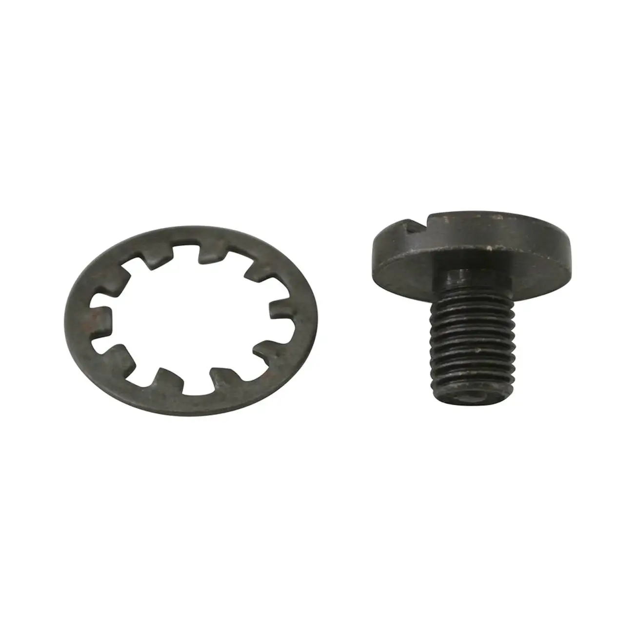 Screw & Gasket For Motorized Bicycle Universal