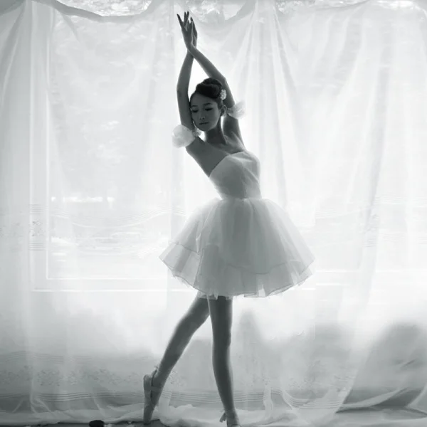 High Quality Women Ballet Skirt Dance Clother Ballet Fashion Sexy Black Swan Mesh Costume Dance Short Skirt Asian/Tag Size S-2XL