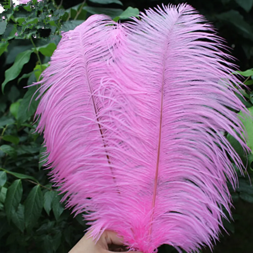 

New Best-selling products 50 PCS pink 55-60 cm/22-24 inches ostrich feathers Wedding Birthday Christmas Decorations