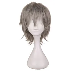 QQXCAIW Men Short Grey Sliver Gray Cos Cosplay Wig Party 30 Cm 100% High Temperature Fiber Synthetic Hair Wigs