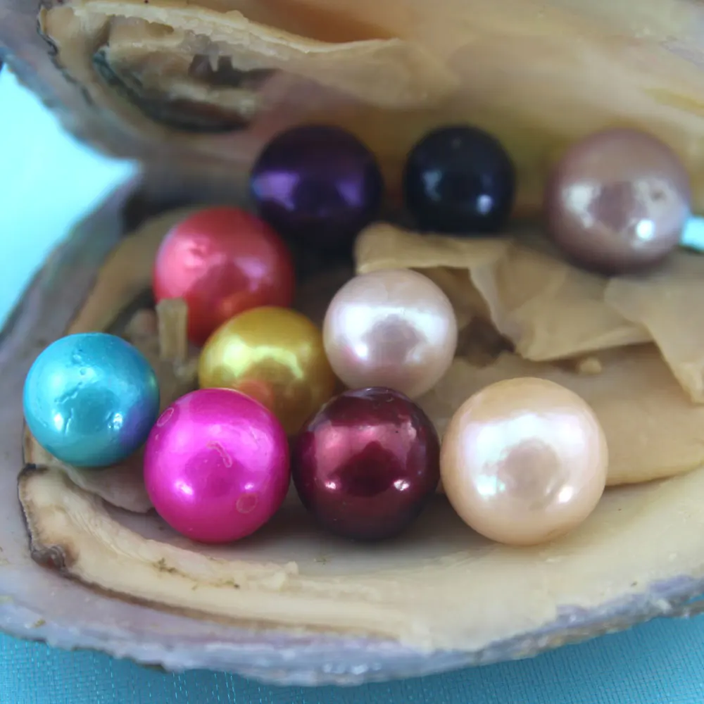 

New!10pcs/lot 9-12mm Colored Edison big large round pearl natural pearl in Freshwater oyster For Birthday Gift Jewelry DIY P0029