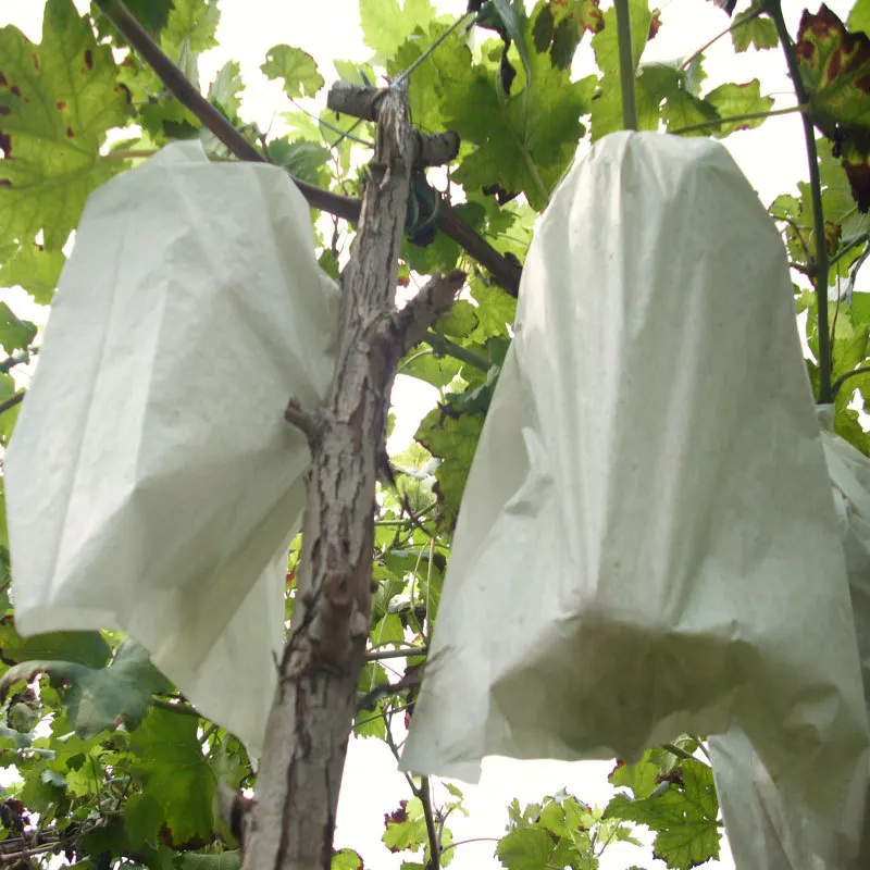 

Insect Paper Bags, Pollen Pest Exclusion, Grape Fruit Protection, 50Pcs