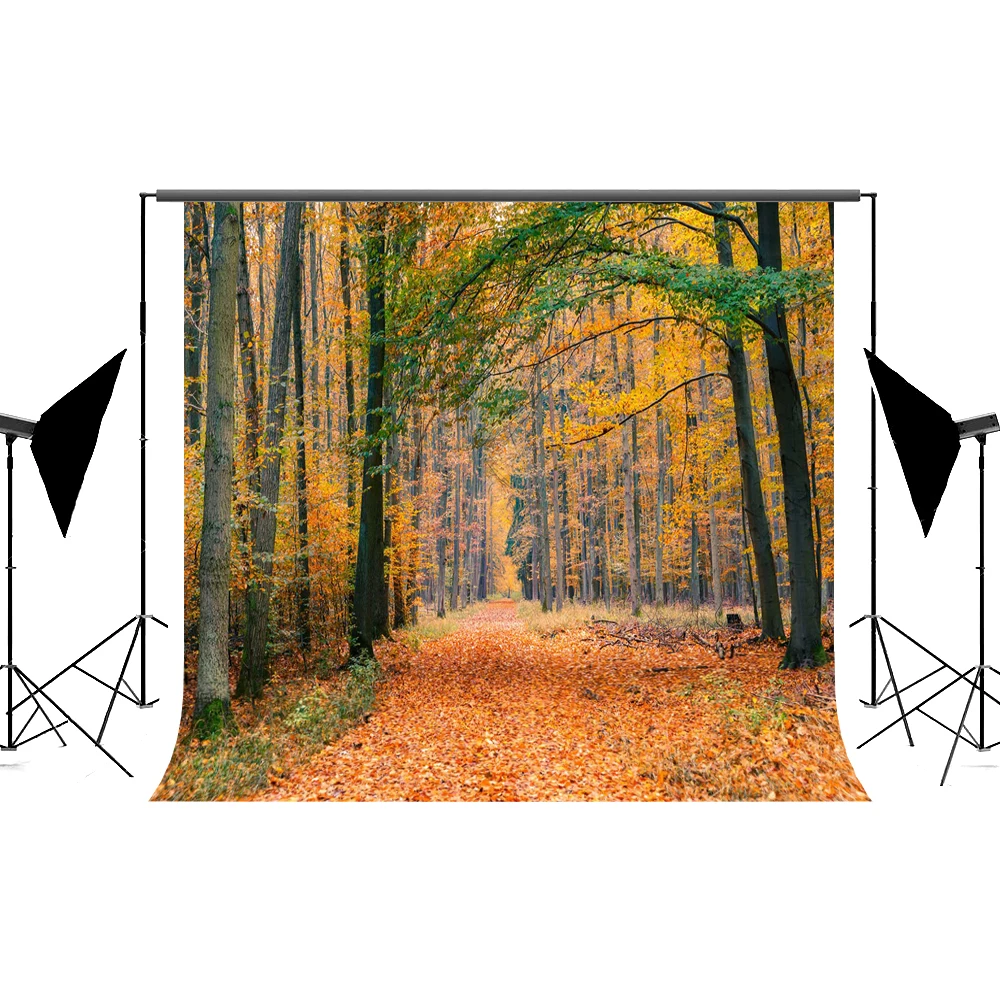 

VinylBDS Autumn Forest Photographic Background Village Estudio Fotografia Deciduous Leaves Road Achtergrond Doeken Fotogra